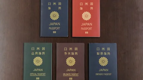 万博manbetx体育平台